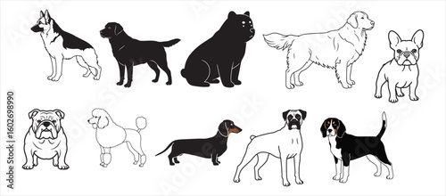 Collection of thirteen distinct dog breeds illustrated in classic black and white line art style