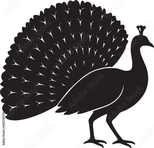 Stylized Peacock Silhouette with Fanned Tail Feathers – Vector Illustration