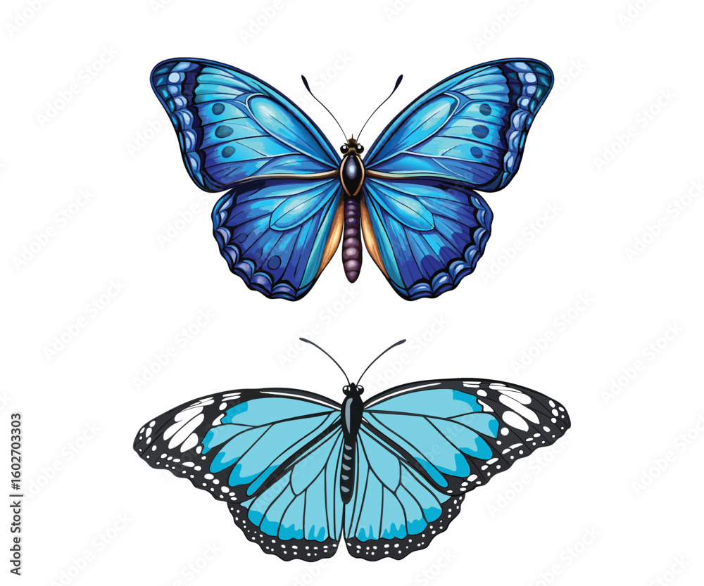 Obraz premium colorful and black butterfly logo icons and silhouettes