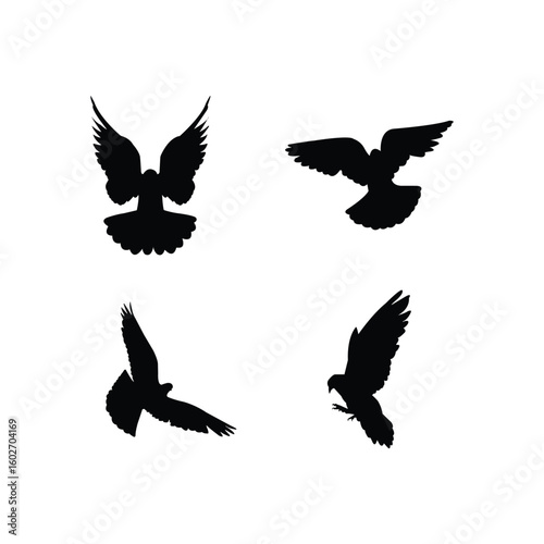 Silhouette Set of Pigeons Isolated on White Background. Bird Vector Collection for Design Use.