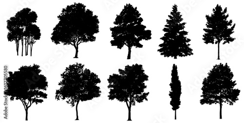 A set of 10 detailed tree silhouettes in diverse shapes and species, perfect for nature, forest, or landscape-themed vector designs