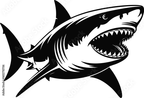 Fierce shark open mouth sharp teeth great white shark