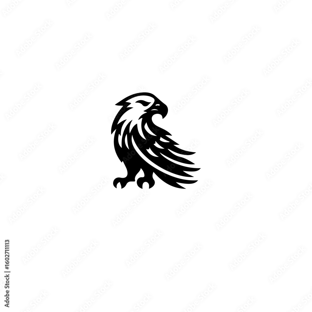 Obraz premium A stylized black and white illustration of an eagle with detailed feathers