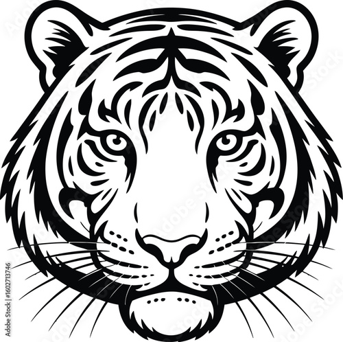 Fierce tiger face black white illustration animal wildlife