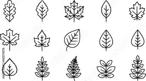 Simple line set of leaf icons. Leaves thin line icon set. Symbol collection in transparent background. Editable vector stroke.
