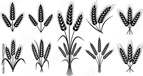 Wheat spike, grain icon set. Vector Illustration. EPS 10
