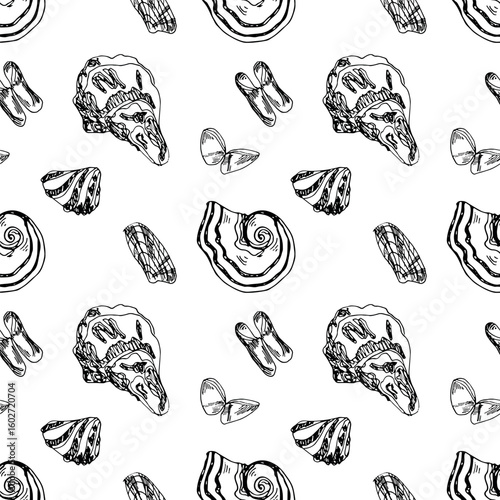 Pattern of outline oysters, sea shells and mollusks hand drawn in doodle style on white background