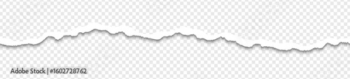 Realistic torn paper edges vector, paper strips