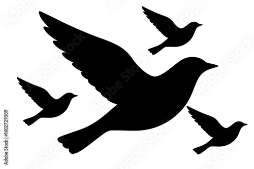 dove silhouette in group
