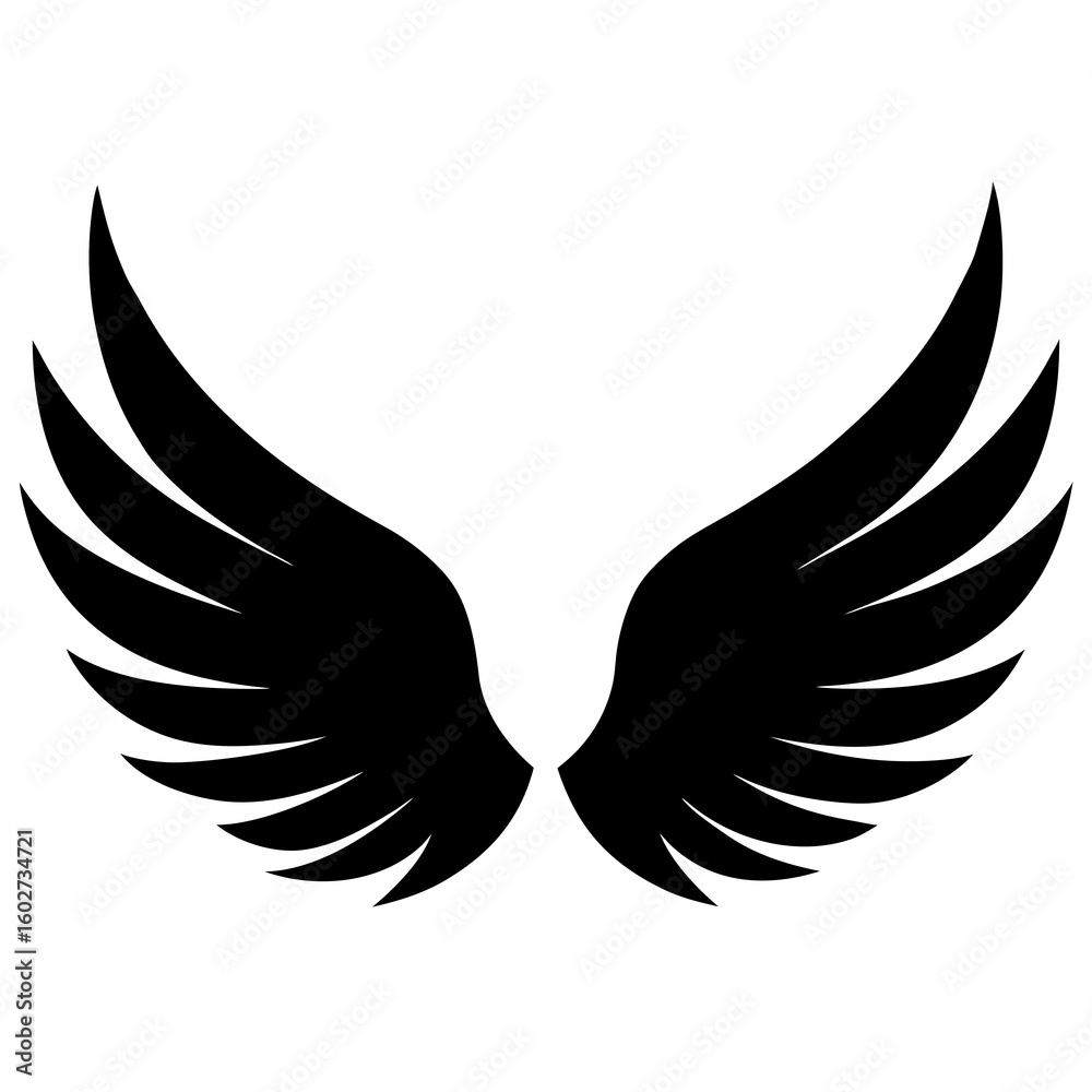 Obraz premium feathered wings vector silhouette on white background
