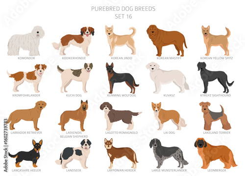 Collection of all dog breeds. Collection in 28 sets. Realistic image of dog breeds with different coat colors. Vector illustration