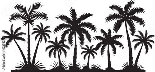 Palm Tree Silhouette Vector with Tropical Island Vibes
