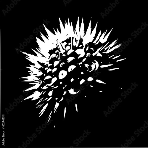 Monochrome depiction of a spiky globular form with a dark background and sharp white projections