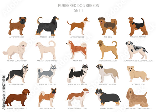 Collection of all dog breeds. Collection in 28 sets. Realistic image of dog breeds with different coat colors. Vector illustration