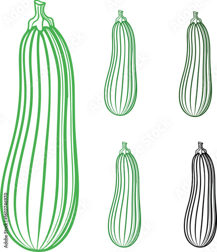 zucchini icon, zucchini pictures Fresh Green Zucchini on a White Background