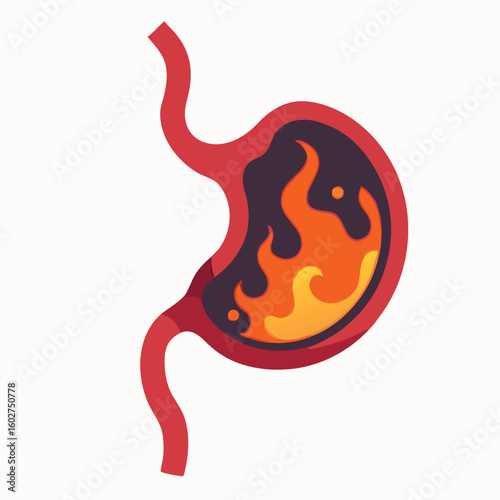 Burning stomach internal organ with flames vector illustration fire