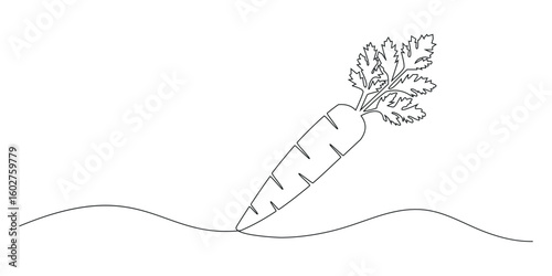 Carrot continuous one line drawing of vector illustration. Growing carrot plant minimalist black linear sketch isolated on white background.  Hand drawn Editable stroke