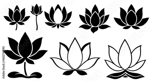 lotus floral illustration, lotus emblem icon, lotus logo silhouette, lotus sign icon, lotus illustration vector