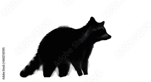 A dark, furry raccoon stands facing right, its tail visible, set against a stark white background.