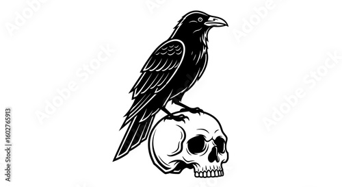 Black raven perched on a skull, eerie mood, minimalist art