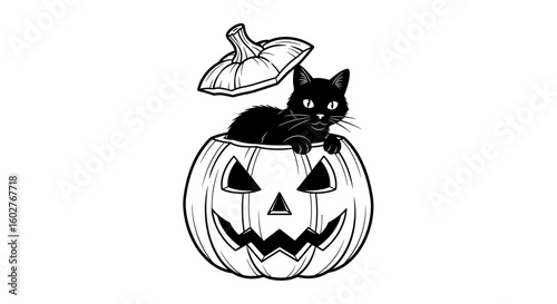 A black cat sitting inside a carved pumpkin with a playful expression for Halloween