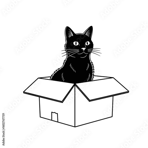 A black cat peeking out of an open box with a joyful expression 