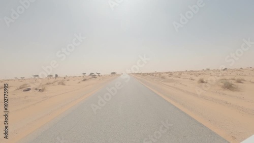 Driving In Mauretania