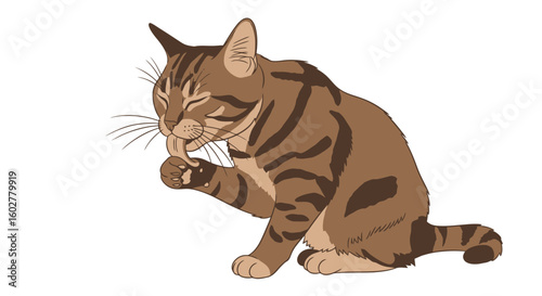 Feline Hygiene: Brown Striped Cat Grooming Itself