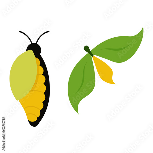 Butterfly chrysalis and green leaves with yellow accents
