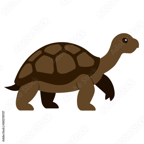 Cartoon tortoise walking on a white background