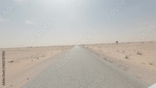 Driving In Mauretania