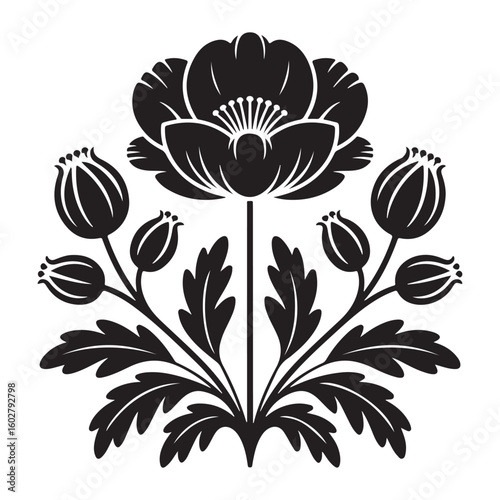 Black silhouette of a blooming poppy flower with buds
