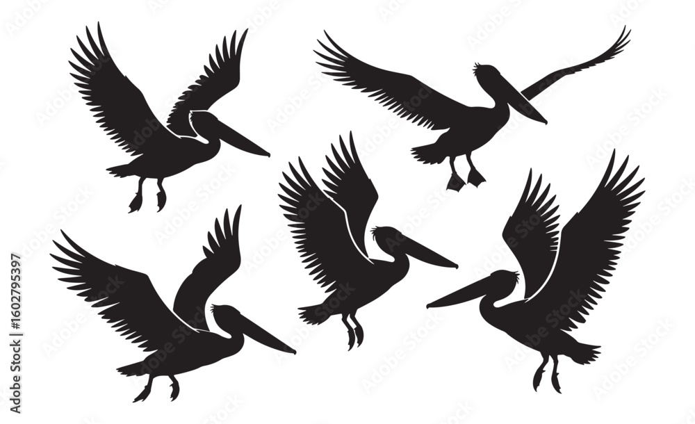 Obraz premium Collection of pelican flying silhouettes