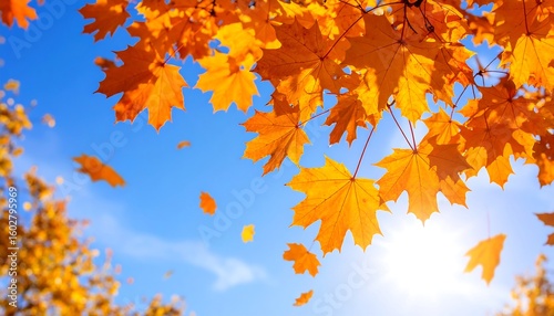 Vibrant autumn leaves against a clear blue sky