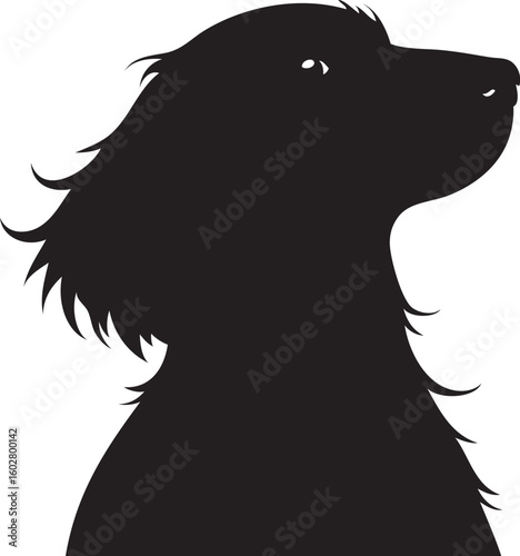 Long haired Dachshund face silhouette 