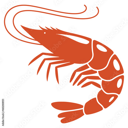 cooked shrimp on white background