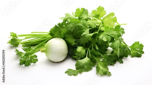 A photo of a collection of fresh cilantro.