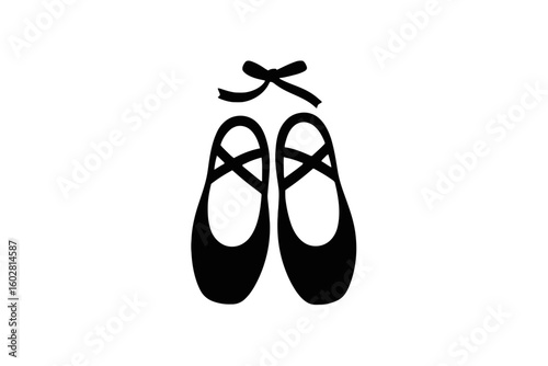 Ballet slippers with ribbons dance shoes pointe shoes