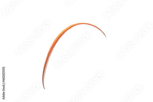 Vibrant orange curved graphic element floating against transparent backdrop, enhancing modern design with sleek abstract minimalism