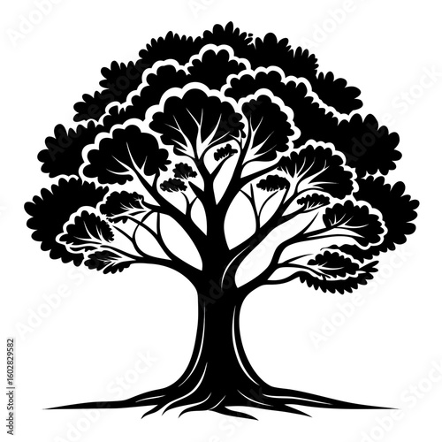 tree with roots