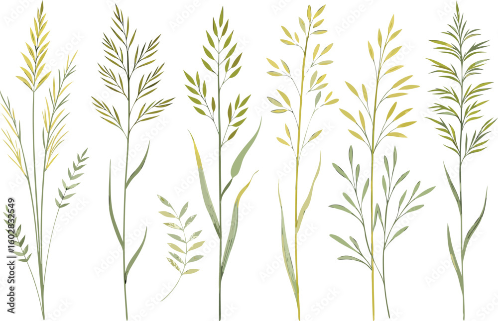 Obraz premium Watercolor botanical illustrations of twenty grasses and shrubs in muted tones, arranged in a clean grid on a white background