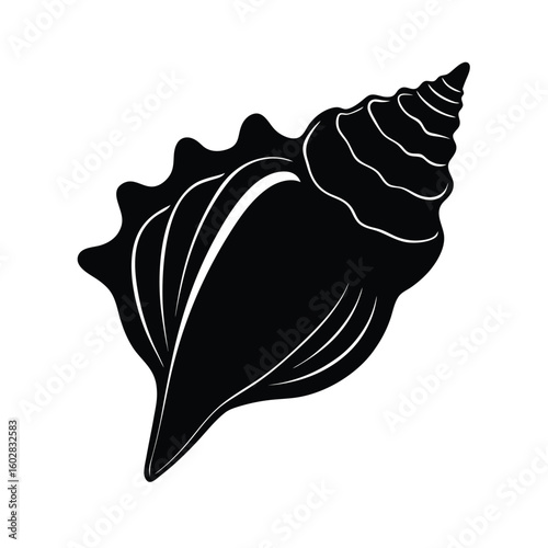 Black Conch shell silhouette vector 