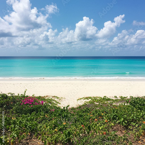 Scenic Tropical Beach with Palm Trees and Crystal-Clear Turquoise Waters