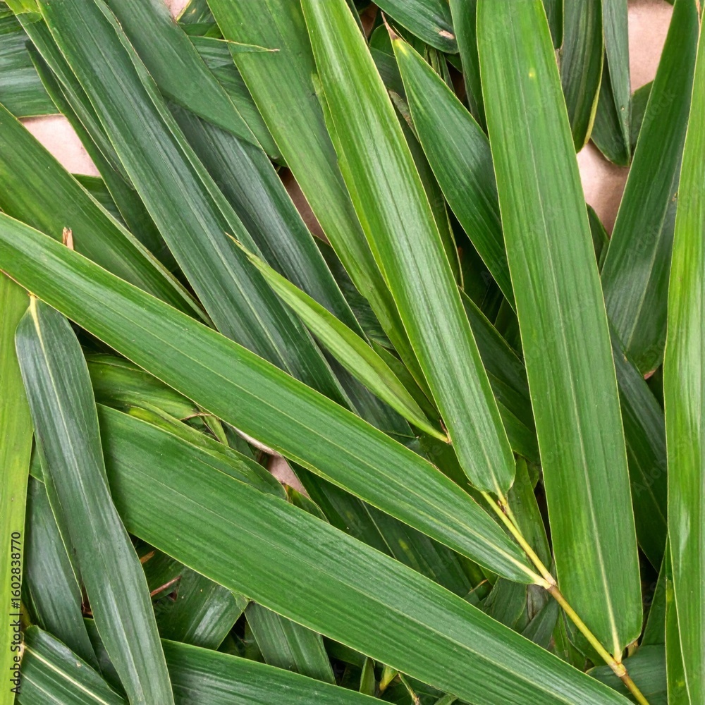 Fototapeta premium Lush Green Palm Fronds with Natural Leaf Veins and Textural Background