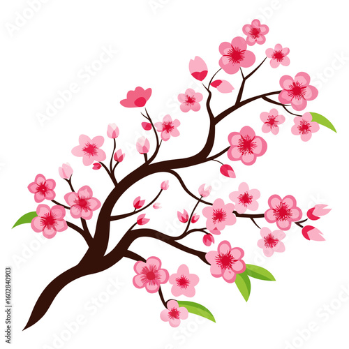 cherry blossom tree
