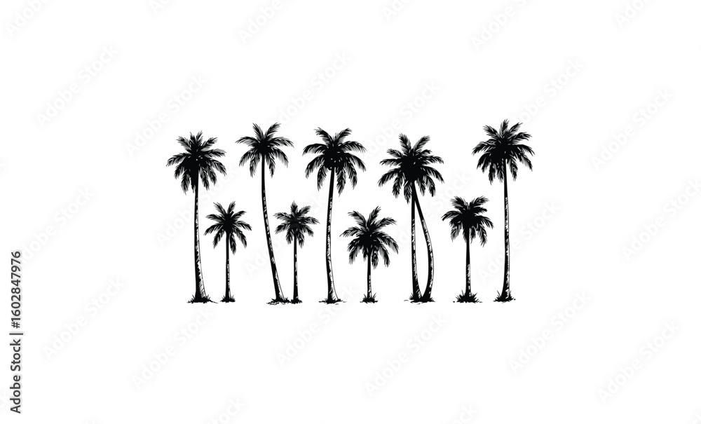 Fototapeta premium Silhouette of palm trees against white background in minimalist design. Vector retro hand drawn illustration.