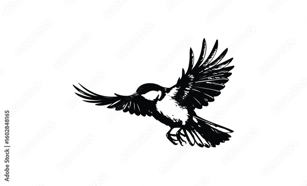 Obraz premium Silhouette of a bird in flight with wings outstretched. Vector retro hand drawn illustration.