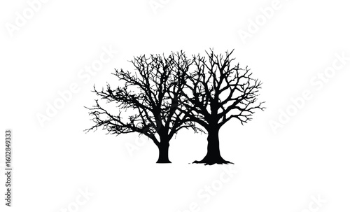 Silhouette of two leafless trees on white background. Vector retro hand drawn illustration.