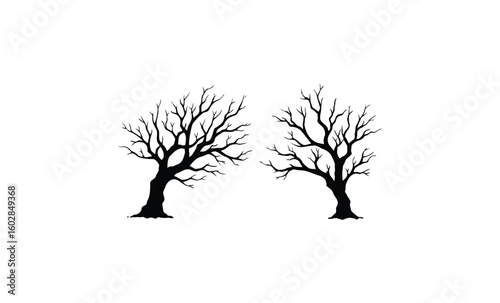 Silhouette of two bare trees against white background. Vector retro hand drawn illustration.
