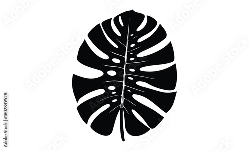 Monstera deliciosa leaf silhouette isolated on white background. Vector retro hand drawn illustration.